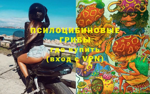 трава Медногорск