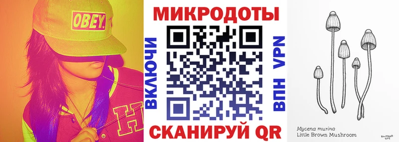 МЕГА ONION Чадан Галлюциногенные грибы мицелий где купить