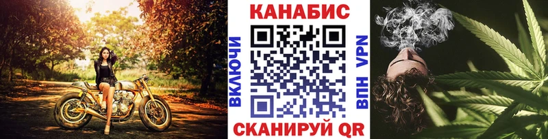 Шишки марихуана конопля Чадан